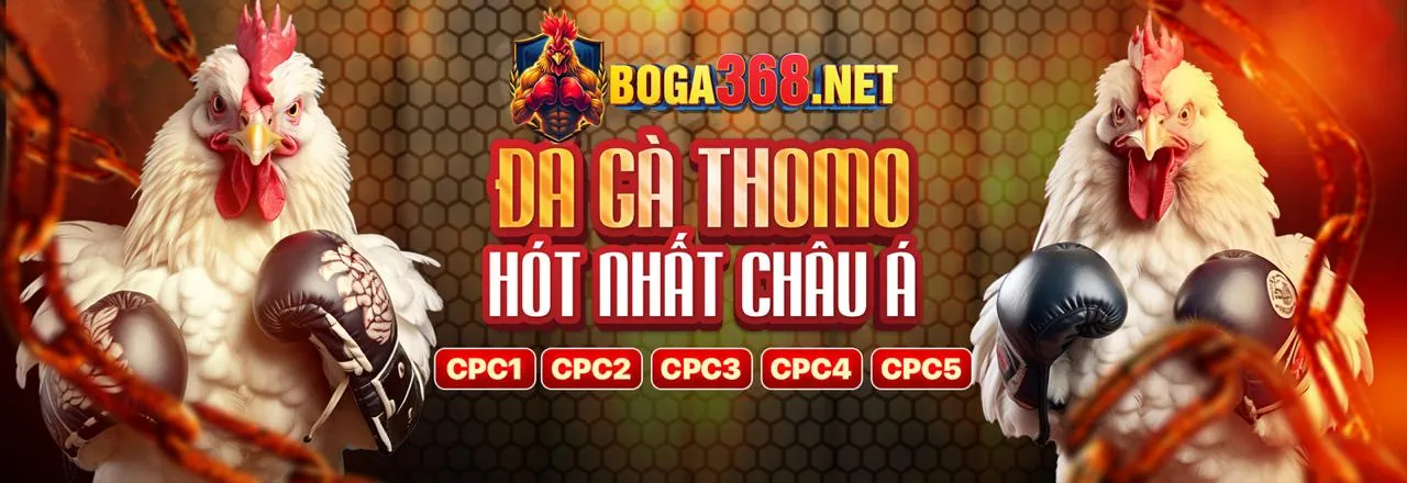 Cập Nhật Nền Tảng số đỏ 79